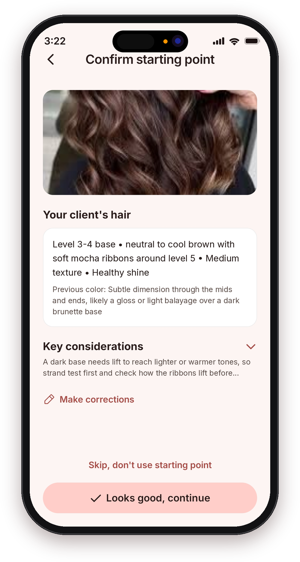 Adding the client's current hair to set the starting point